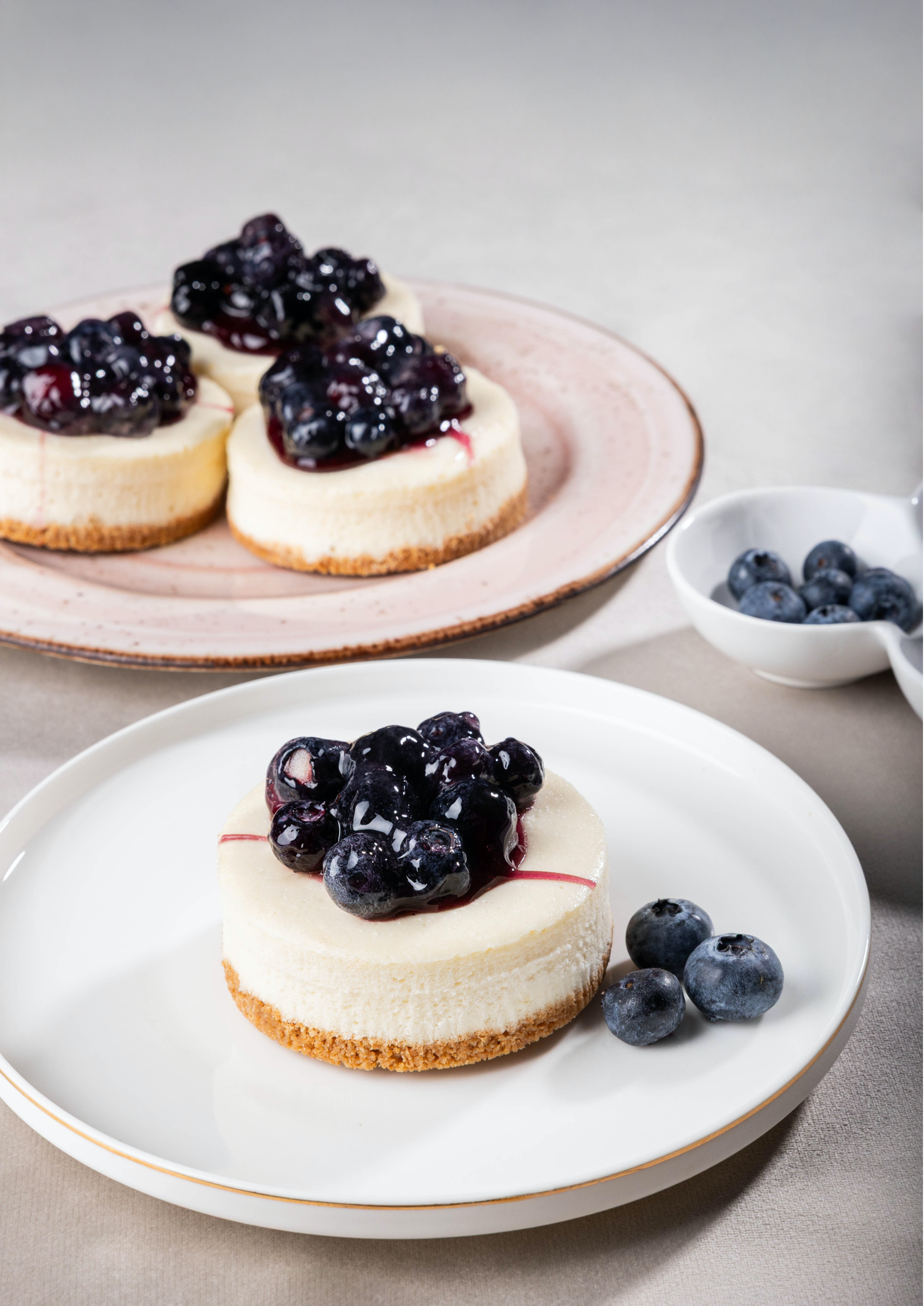 Blueberry Cheesecake Mono